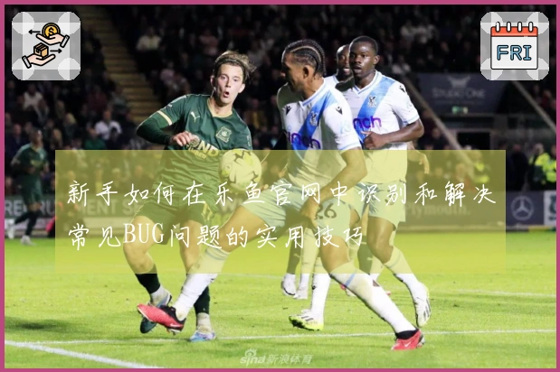 新手如何在乐鱼官网中识别和解决常见BUG问题的实用技巧