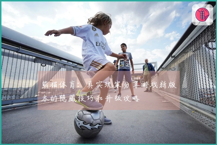 熊猫体育：真实玩家分享游戏新版本的隐藏技巧和升级攻略