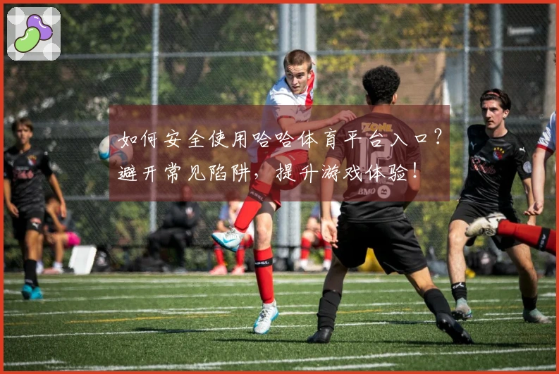 如何安全使用哈哈体育平台入口？避开常见陷阱，提升游戏体验！