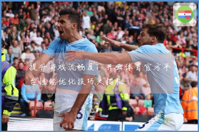 提升游戏流畅度，开云体育官方平台性能优化技巧大揭秘